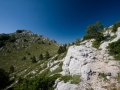 Biokovo_13_von_26