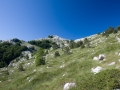 Biokovo_5_von_26